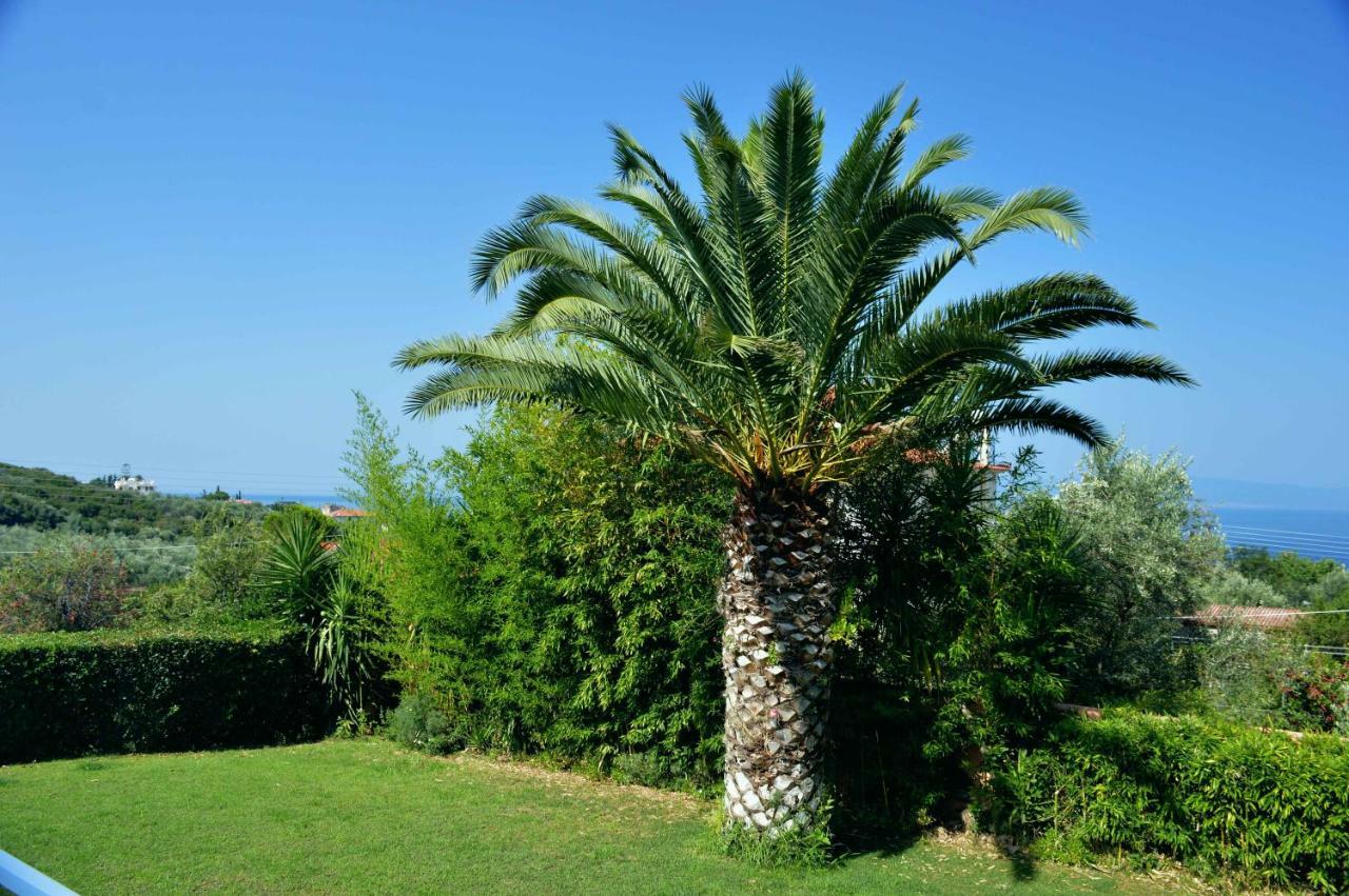 Cozy Small Smart Villa With Private Pool Mikri Mantineia Kalamata Exterior photo